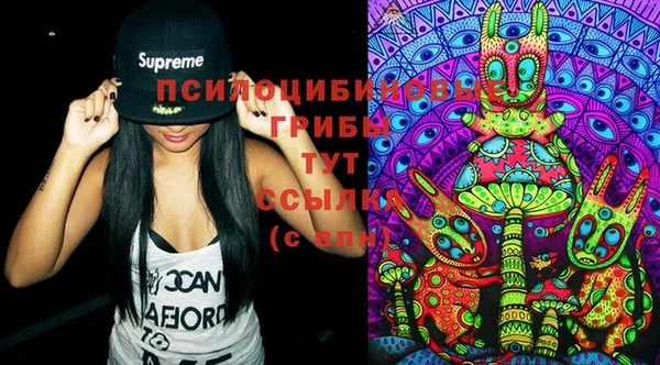 гашик Ахтубинск