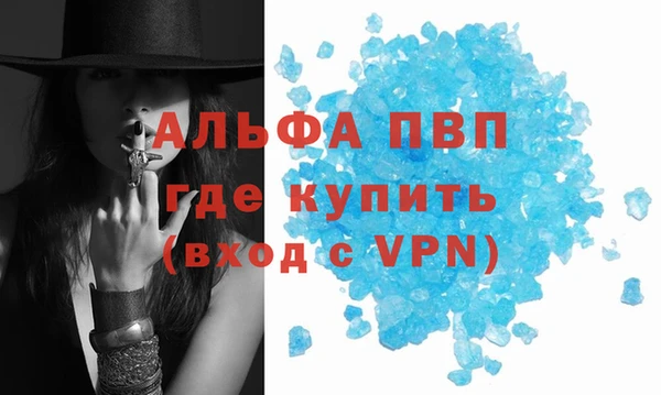 стафф Михайловск