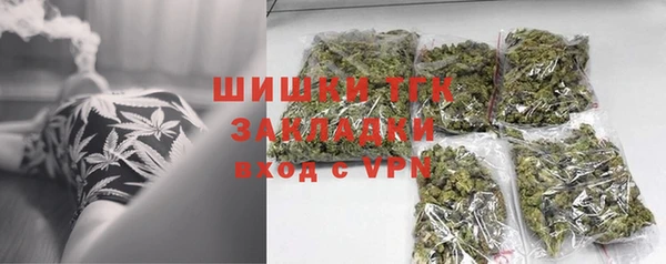 spice Михайлов