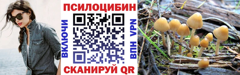 цена наркотик  ссылка на мегу ССЫЛКА  Галлюциногенные грибы Psilocybe  Богородск 