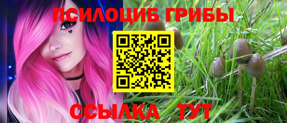 Галлюциногенные грибы прущие грибы Богородск