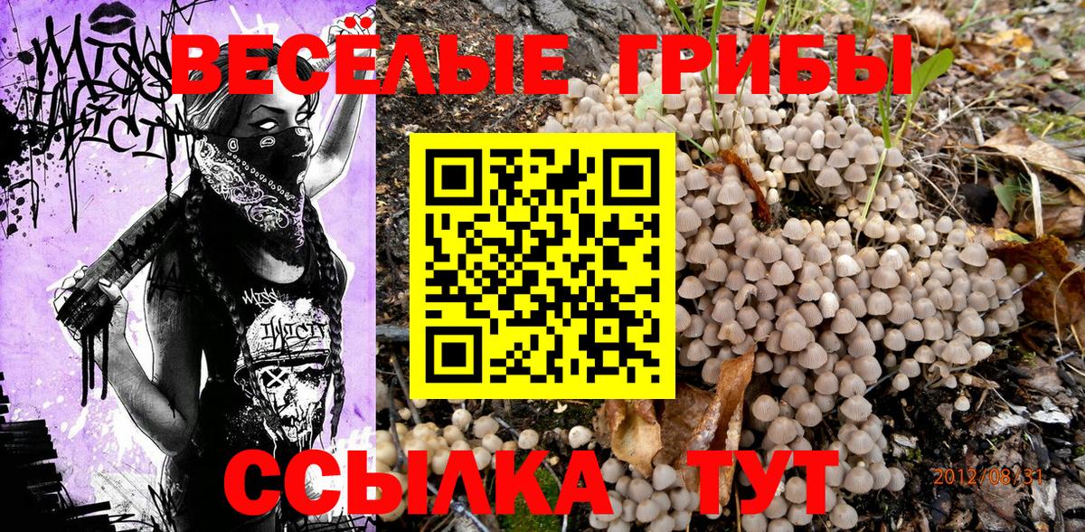 Богородск  Галлюциногенные грибы ЛСД  Вход с VPN  Галлюциногенные грибы мицелий 
